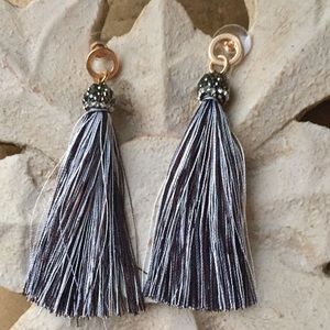 Jewelry - 🌼🌸HP🌸🌼 Black and silver tassel earrings Jewelry - 🌼🌸HP🌸🌼 Black and silver tassel earrings